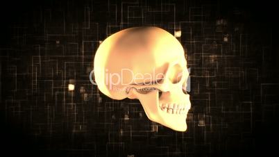 Revolving skull on moving digital background