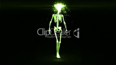 Walking skeleton appears and becomes fully formed human