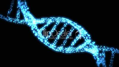 Appearing and disapearing DNA helix