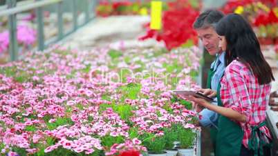 Gardeners standing at the greenhouse talking