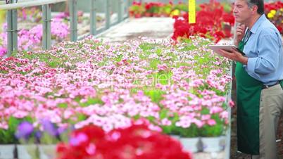 Gardener standing at the greenhouse