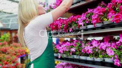 Woman standing at a flower shelf