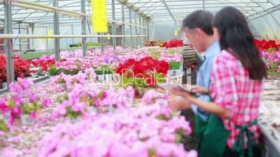 Gardener standing at the greenhouse while working