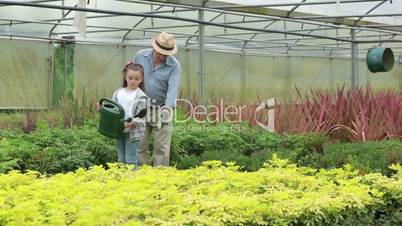 Little girl watering plants with her granddad