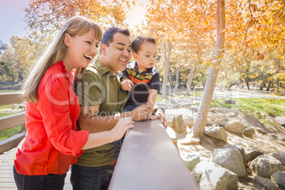 Mixed Race Family Enjoy a Day at The Park