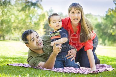 Mixed Race Family Enjoy a Day at The Park