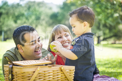 Mixed Race Family Enjoy a Picnic At The Park