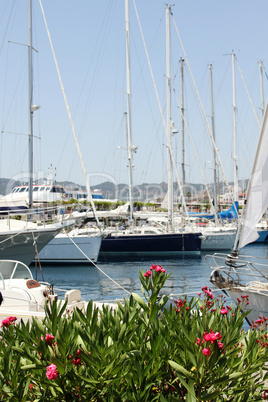 Boats at Harbor