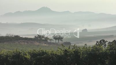 Rioja-Weinbau