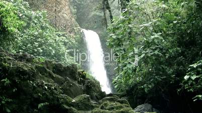 dschungel waterfall