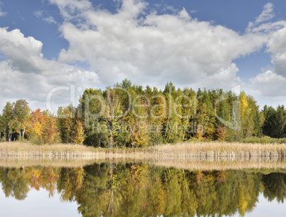 Autumn Landscape