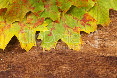 Herbstlicher Hintergrund