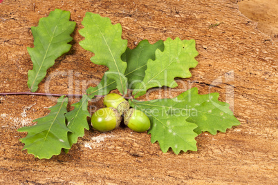 Herbstlicher Hintergrund