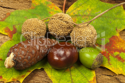 Herbstlicher Hintergrund