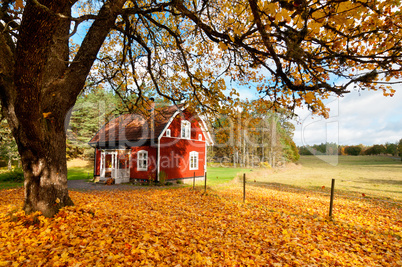 Rotes Holzhaus in Schweden in herbstlicher Umgebung