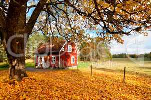 Rotes Holzhaus in Schweden in herbstlicher Umgebung