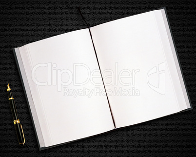 blank opened book