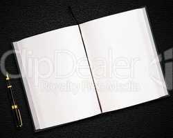 blank opened book