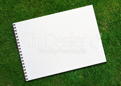 notebook on grassland