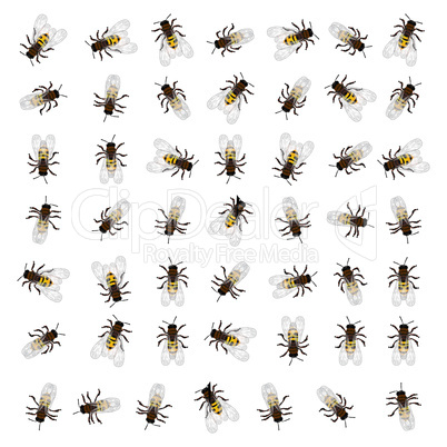 Seamless bee pattern