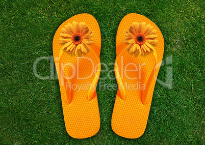 Colorful Flip Flops