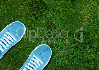Blue Shoe print on green grassland