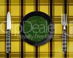 green grass on black plate