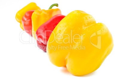 Multi-colored peppers on a white background