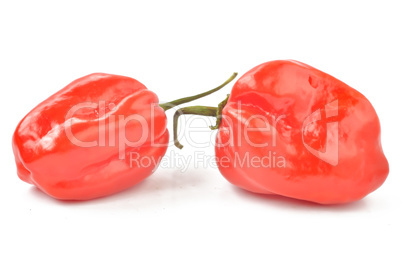 scotch bonnet peppers on a white background