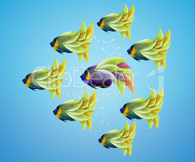 Purble angelfish between group of green angelfish