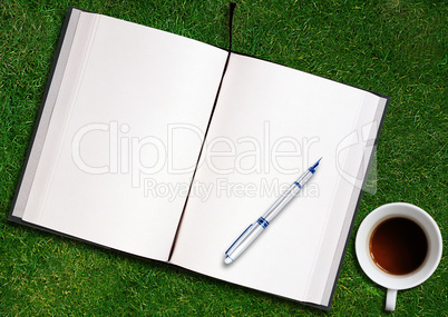 blank opened book