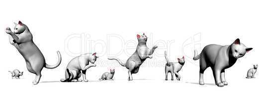 Set of cat poses