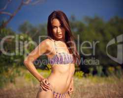 Beautiful girl in bikini on a background a pine-wood.
