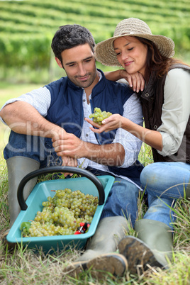 Couple in field eating grapes
