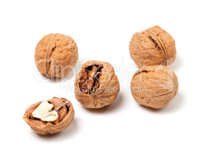 Walnuts on white background