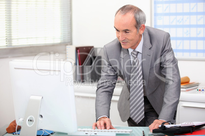 portrait of a senior businessman