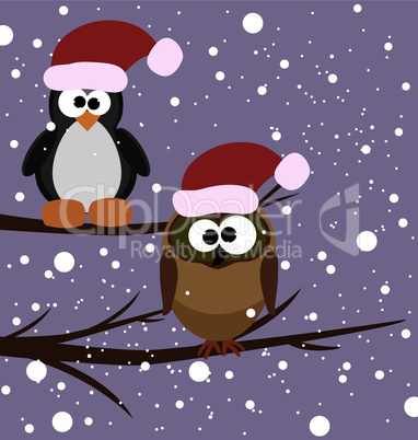vector owl and  penguin