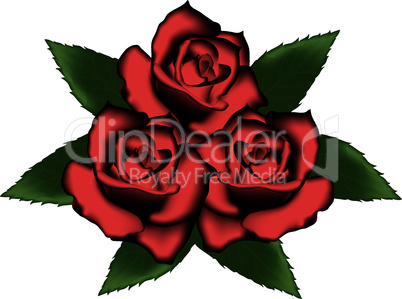 vector red roses