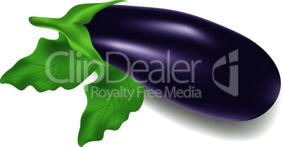 vector eggplant