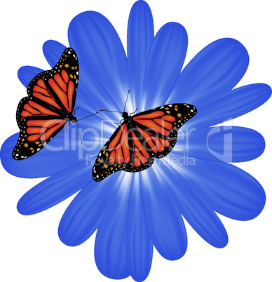 vector butterflies on  flower