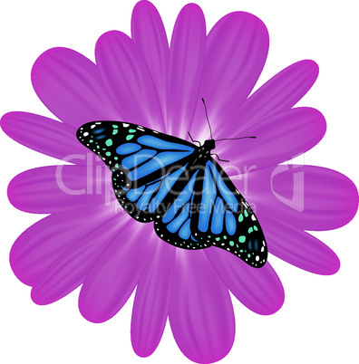 vector butterfly on  flower