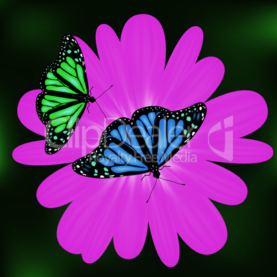 vector butterflies on  flower