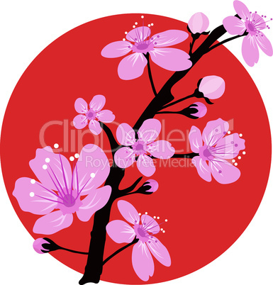 vector cherry branch over japanese flag