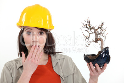 Surprised tradeswoman holding a bonsai plant