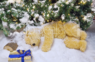 The polar bear is sleeping under the Christmas tree.