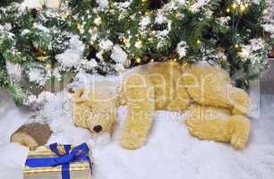 The polar bear is sleeping under the Christmas tree.