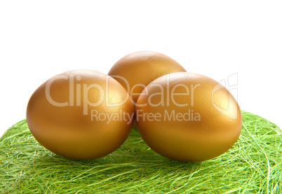 The golden egg  on the grass. Isolate on white.