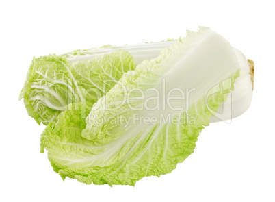The Chinese cabbage isolated on a white background