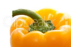 Yellow paprika close up on a white background