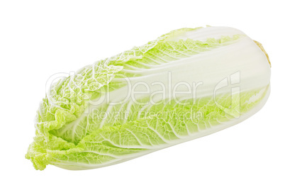 The Chinese cabbage isolated on a white background